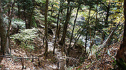 dsc00088_thumb.jpg