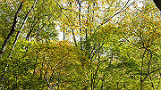 dsc00090_thumb.jpg