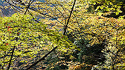 dsc00091_thumb.jpg