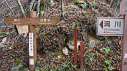 dsc00099_thumb.jpg