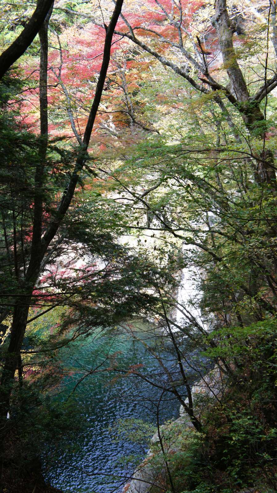 dsc00100.jpg