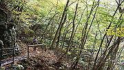 dsc00102_thumb.jpg