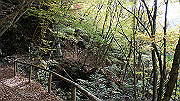 dsc00103_thumb.jpg