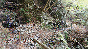 dsc00104_thumb.jpg