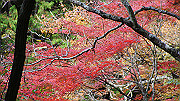 dsc00107_thumb.jpg