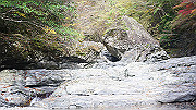 dsc00111_thumb.jpg