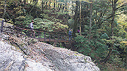 dsc00113_thumb.jpg