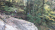 dsc00114_thumb.jpg