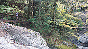 dsc00115_thumb.jpg