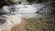 dsc00123_thumb.jpg