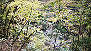 dsc00131_thumb.jpg