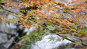 dsc00138_thumb.jpg