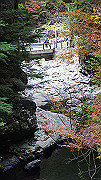 dsc00141_thumb.jpg