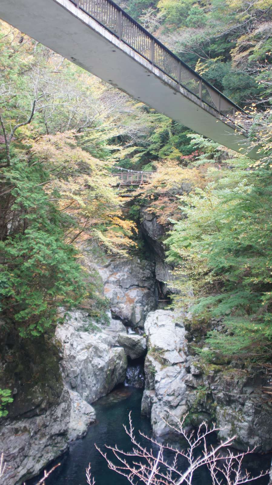dsc00144.jpg