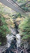 dsc00144_thumb.jpg