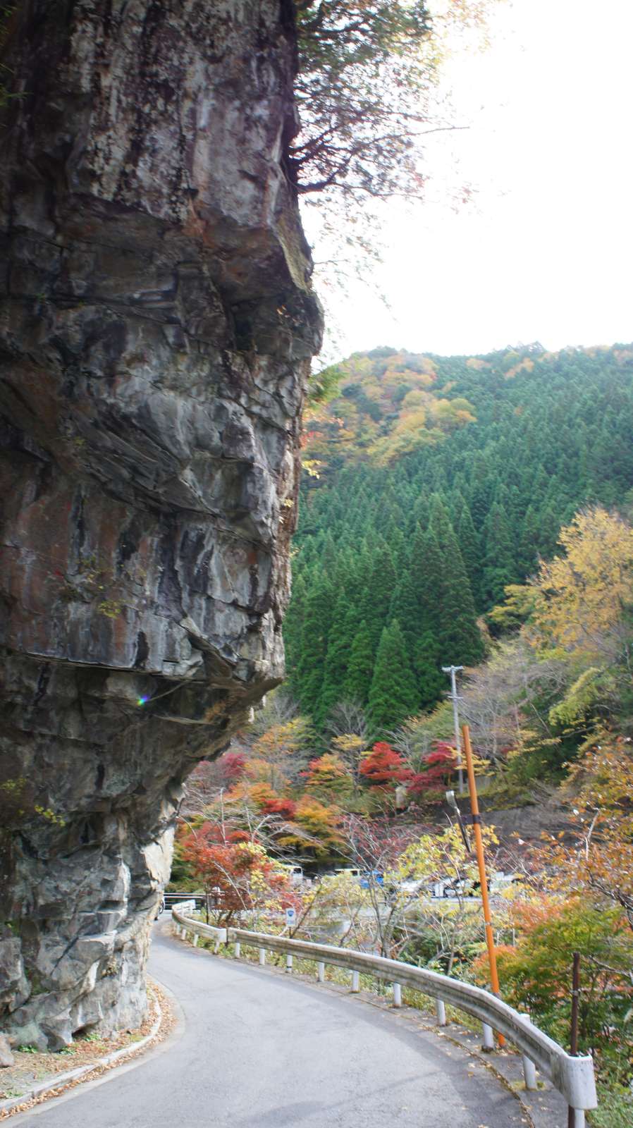 dsc00150.jpg