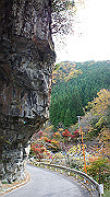 dsc00150_thumb.jpg