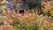 dsc00151_thumb.jpg