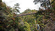 dsc00154_thumb.jpg