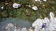 dsc00156_thumb.jpg