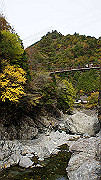 dsc00157_thumb.jpg