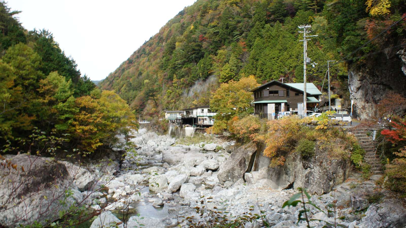 dsc00159.jpg