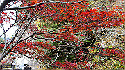 dsc00161_thumb.jpg