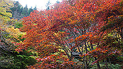 dsc00162_thumb.jpg