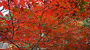 dsc00164_thumb.jpg