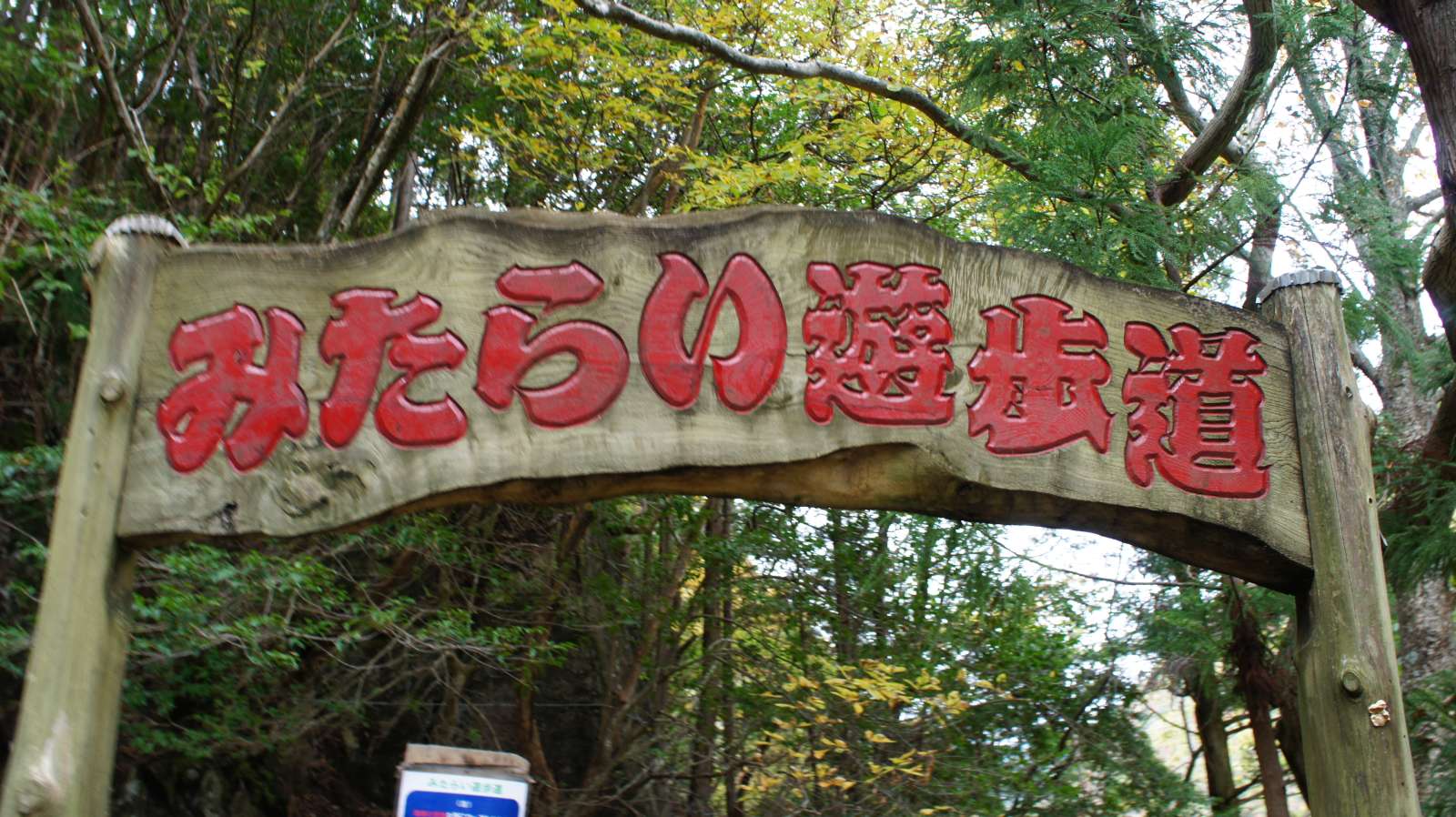 dsc00166.jpg