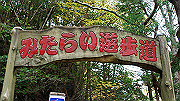 dsc00166_thumb.jpg
