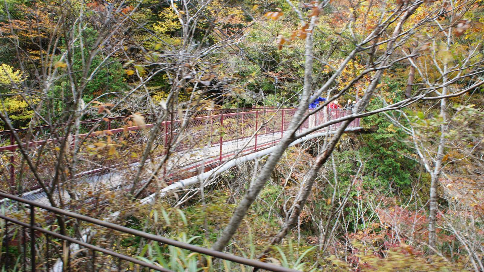 dsc00167.jpg