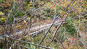 dsc00167_thumb.jpg