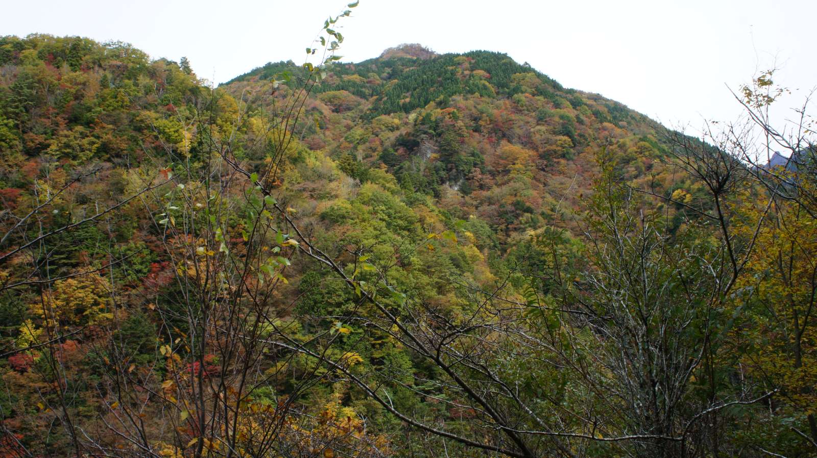 dsc00175.jpg