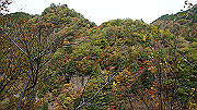 dsc00176_thumb.jpg