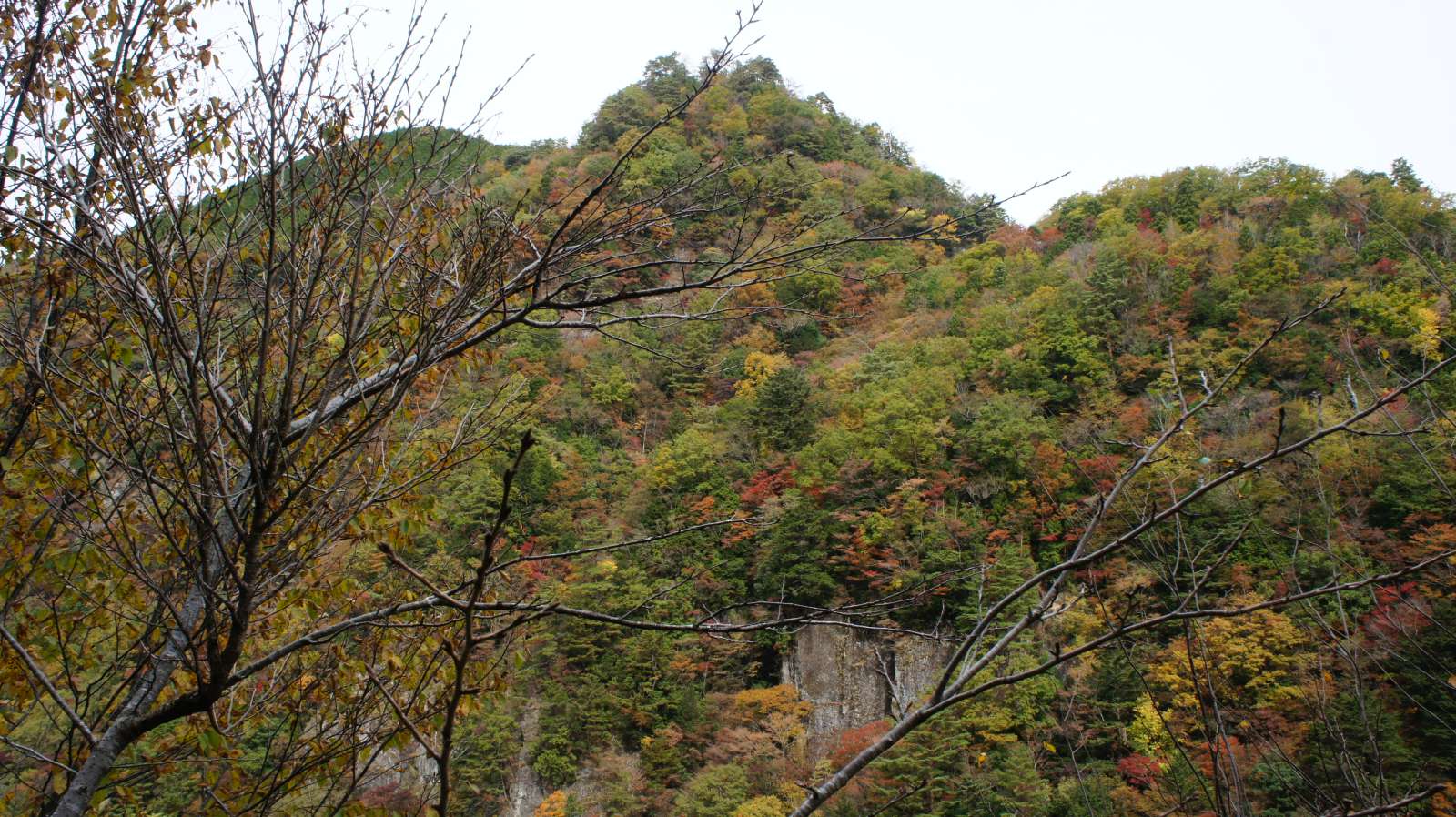 dsc00177.jpg