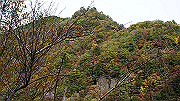 dsc00177_thumb.jpg