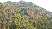 dsc00178_thumb.jpg