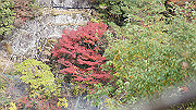 dsc00179_thumb.jpg