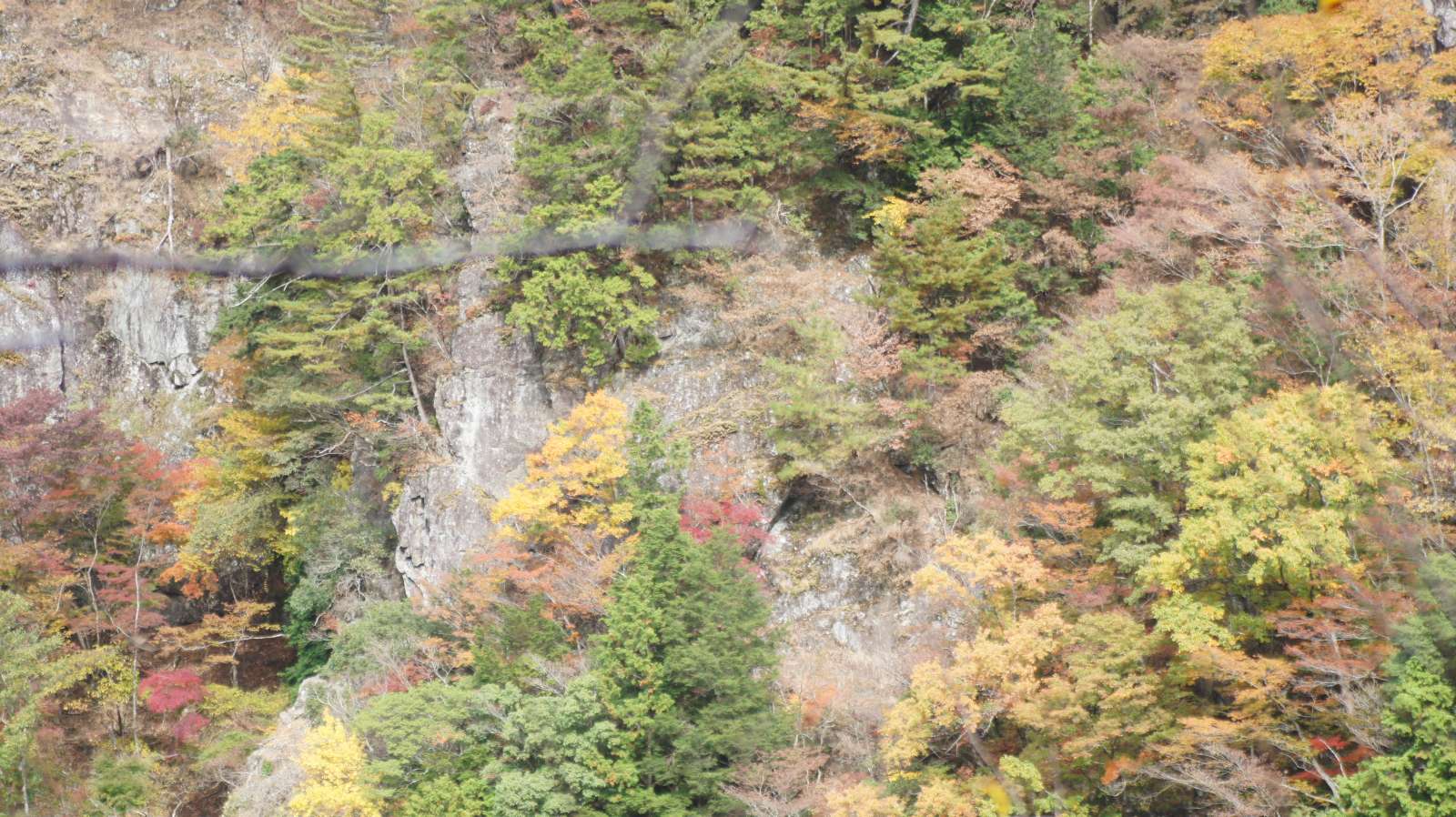 dsc00180.jpg