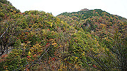 dsc00181_thumb.jpg