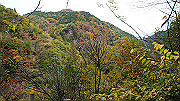 dsc00182_thumb.jpg