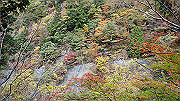 dsc00183_thumb.jpg