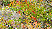 dsc00184_thumb.jpg