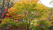 dsc00188_thumb.jpg