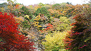 dsc00189_thumb.jpg