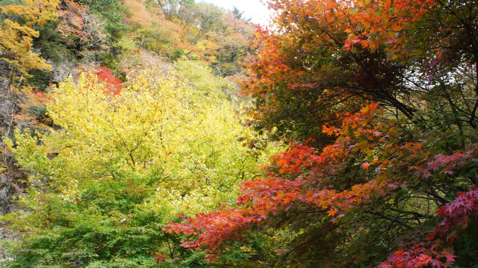 dsc00190.jpg