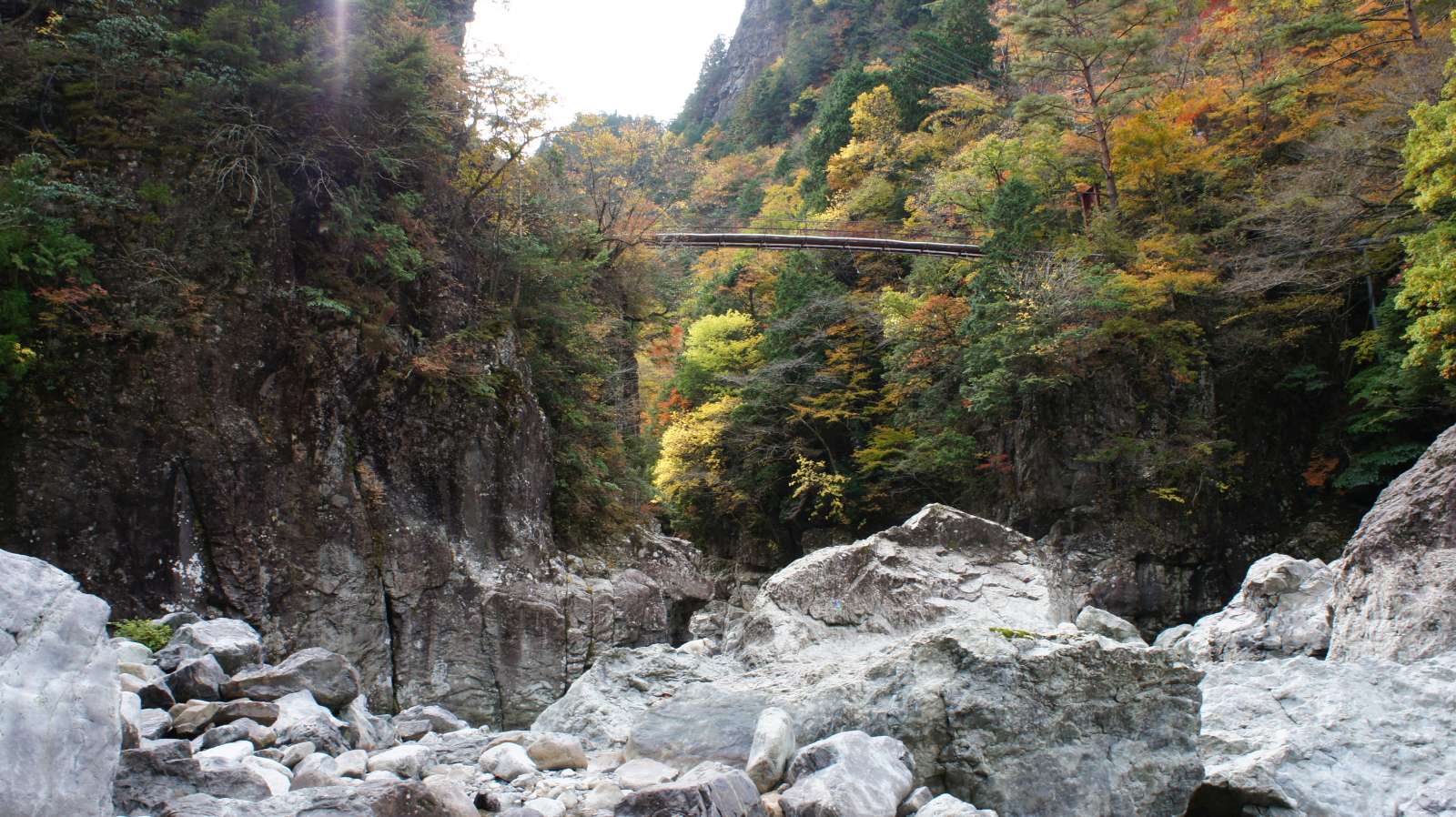 dsc00193.jpg