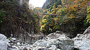 dsc00193_thumb.jpg
