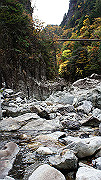 dsc00194_thumb.jpg